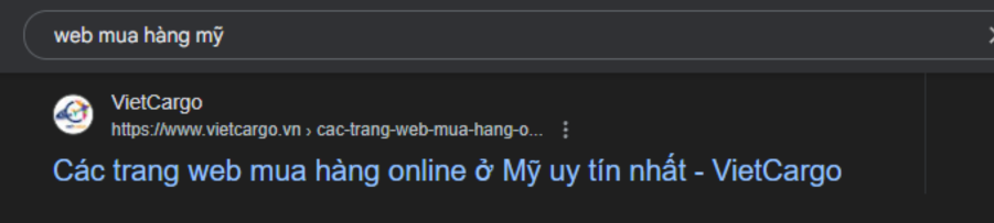 vietcargo.vn web mua hàng mỹ top Google
