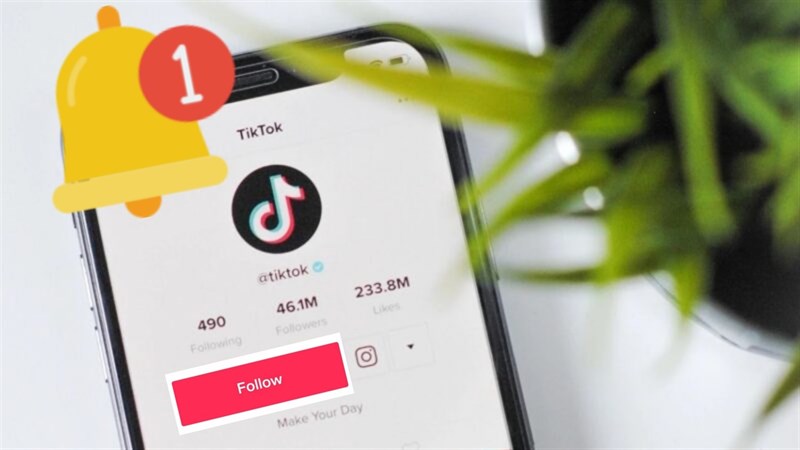 backlink123.com-tiktok không follow được