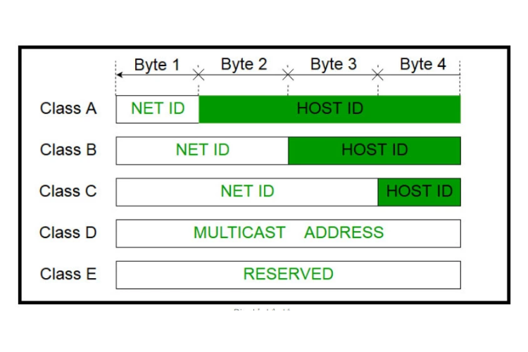 Dịch vụ IP Class C - D - E đa dạng khi thuê SEO Hosting làm Backlink PBN 