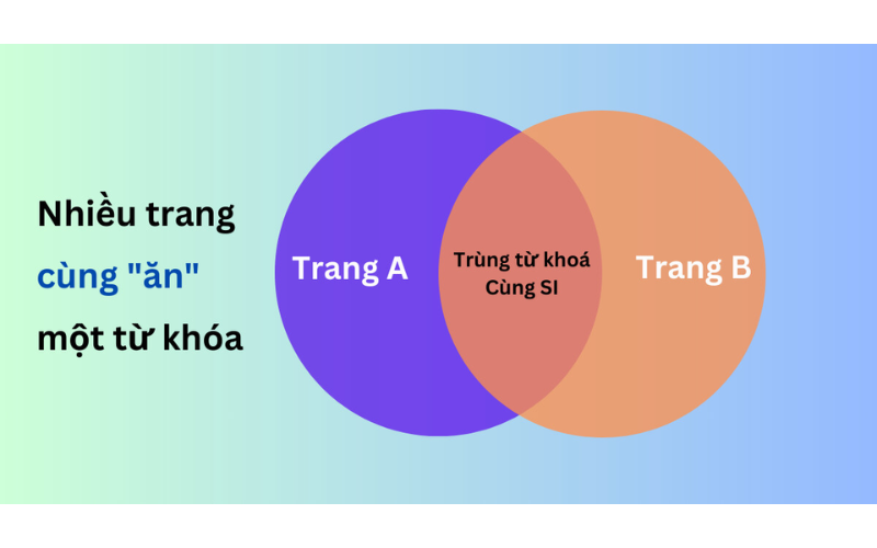 Cannibalization là gì? Dấu hiệu website đang tự cạnh tranh từ khóa