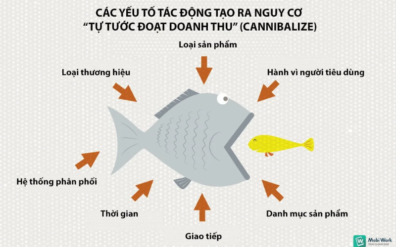 Nguyên nhân chính khiến website và doanh nghiệp bị cannibalization là gì?
