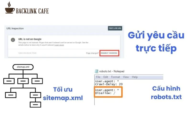 Những lưu ý quan trọng khi khai báo website với Google 