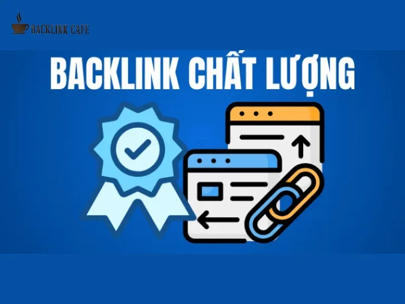 dịch vụ đi backlink