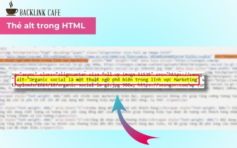 Cấu trúc của thẻ Alt trong HTML