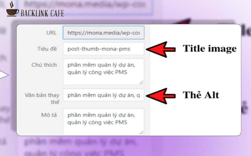 Cách thêm Alt Text khi đăng bài chuẩn SEO
