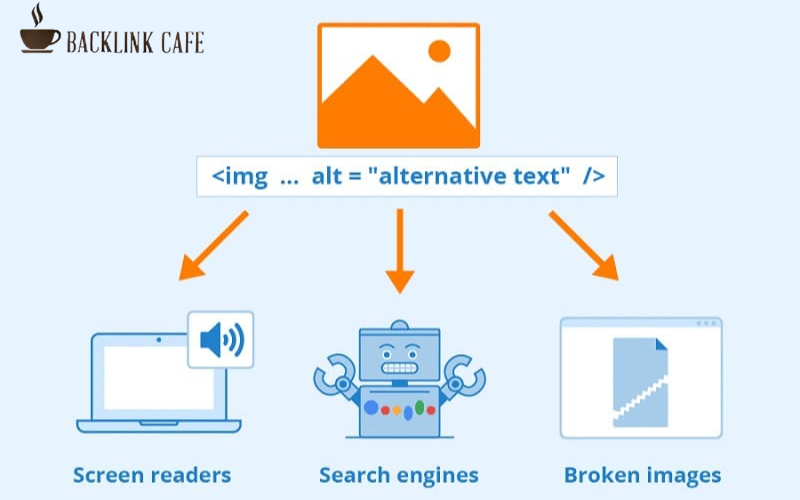 Vai trò của Alt Text trong SEO website