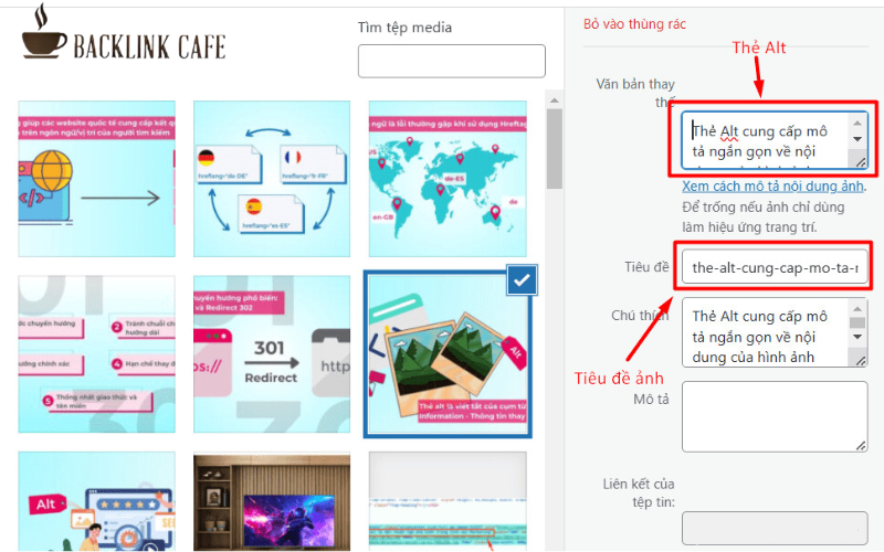 Cách viết Alt Text chuẩn SEO hiệu quả