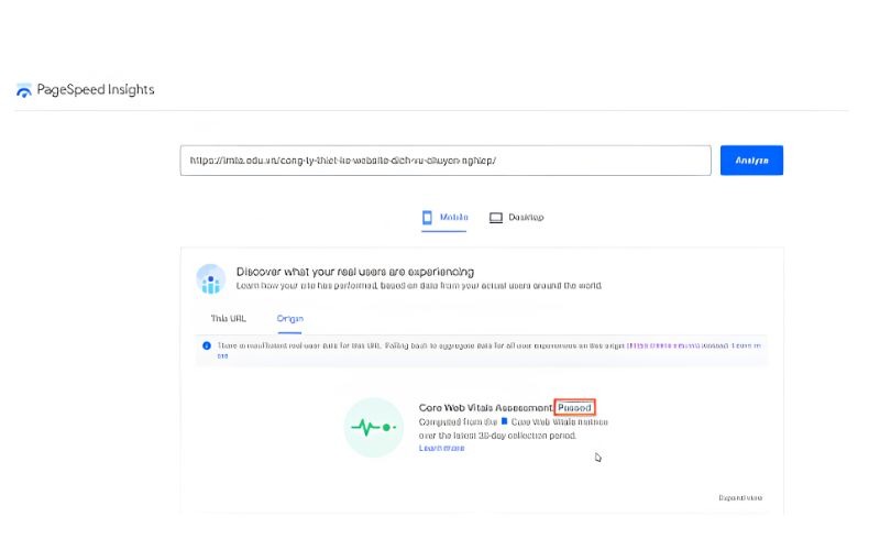 Cách dùng công cụ kiểm tra lỗi SEO website