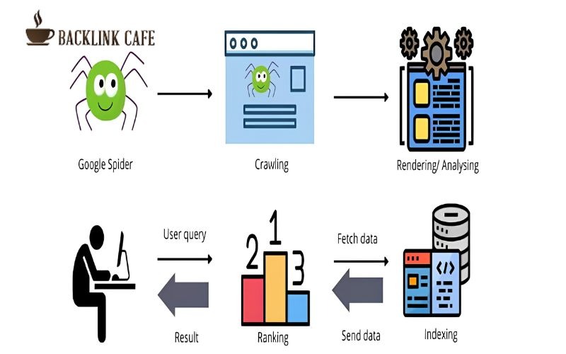 Index, crawl và khả năng truy cập
