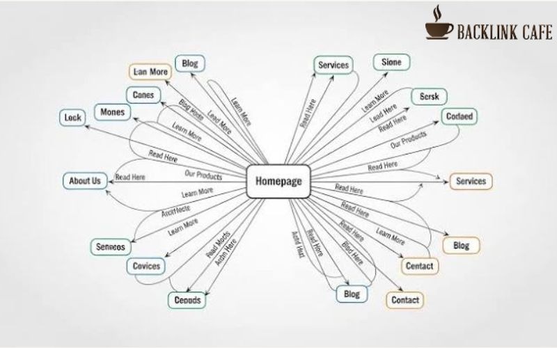 Internal link, backlink và tín hiệu uy tín
