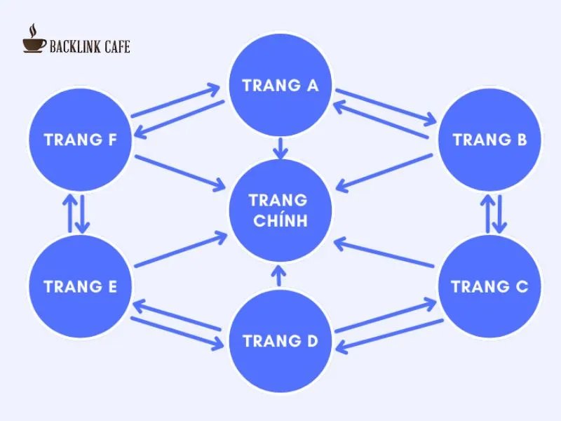 hướng dẫn đặt backlink