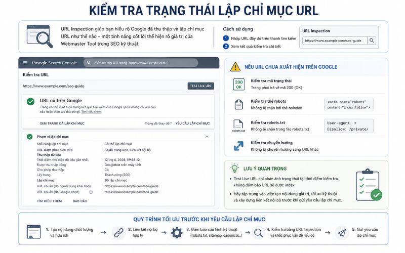 Kiểm tra trạng thái lập chỉ mục URL